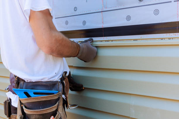 Affordable Siding Repair solutions in Richmond, IL